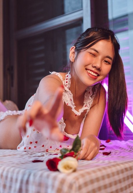 Sandydao 美しいスター 写真