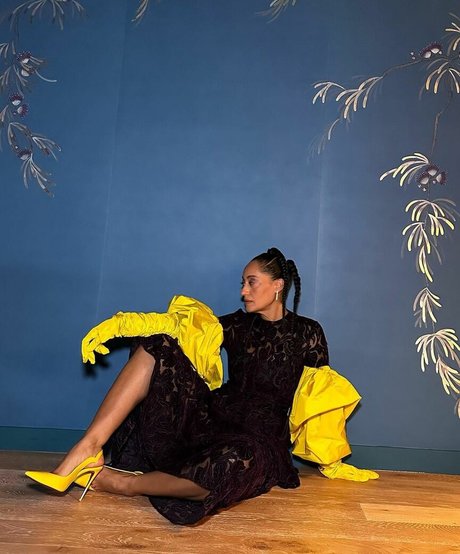 Tracee Ellis Ross エロティックなモデル 写真