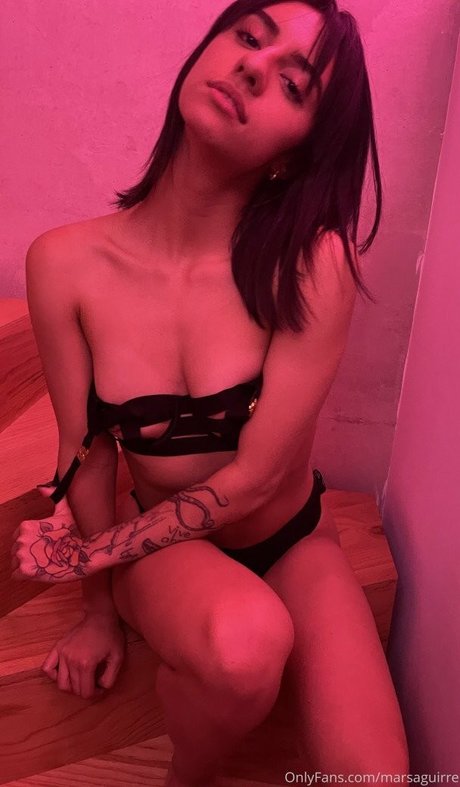 marsaguirre 美しいスター 写真