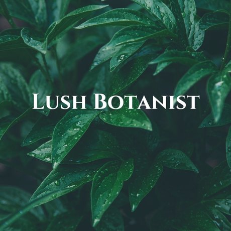 Lush Botanist かわいいスター 写真