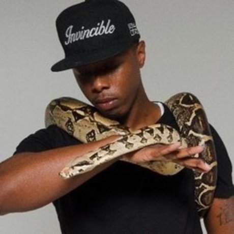 Briscoe3Stacks 素敵なスター ギャラリー