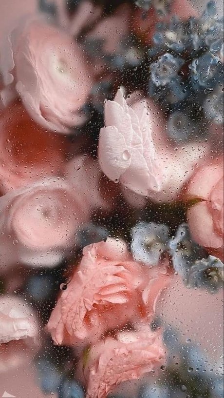 Dixie Diamond ヌードモデル 写真