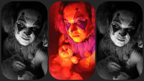 Tate R Thot The Clown Puppy 素敵なモデル 写真
