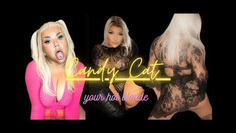 Candy Cat All inclusive アダルトモデル 写真