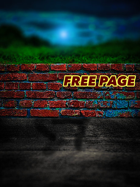BeardedPervBln 50K FREE page 限定スター 写真