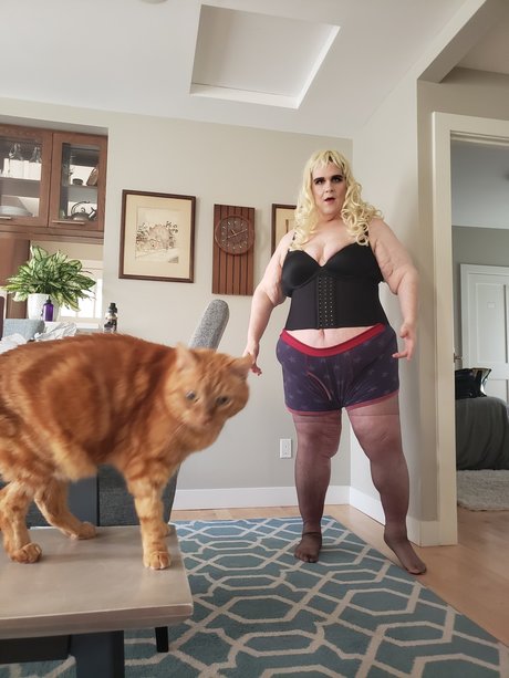 Billy the Fridge HD女優 ギャラリー