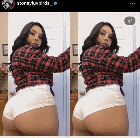 Bakedbabeeee HDモデル 画像