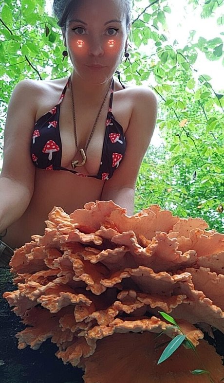 freesexypsychedelic ポルノ女優 画像