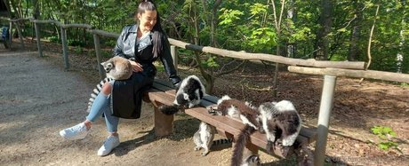 katzmin ヌードモデル 写真