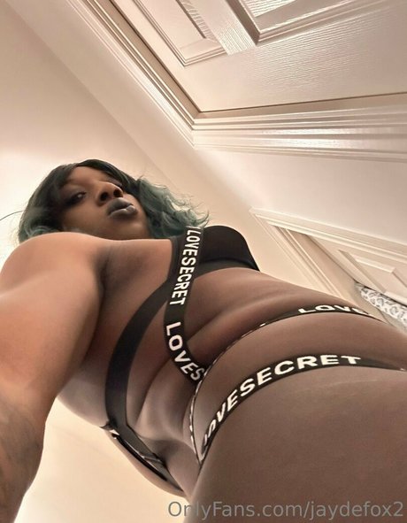 jaydefox2 top profile image