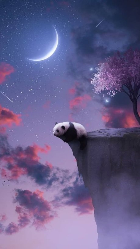 Pandababii93 完璧なスター 画像