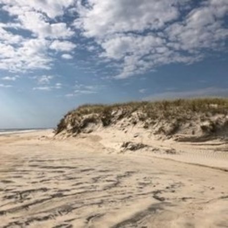 beach bum 102019 裸モデル 画像