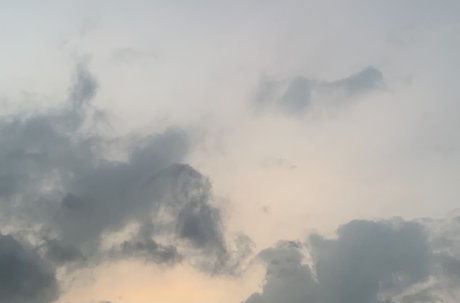 Ms Dango スターセックス 写真