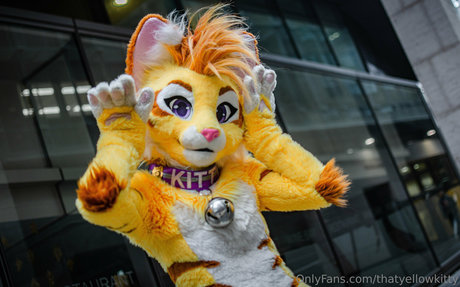 thatyellowkitty ポルノスター 素敵 ギャラリー