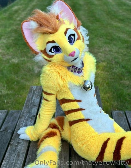 thatyellowkitty モデル 画像