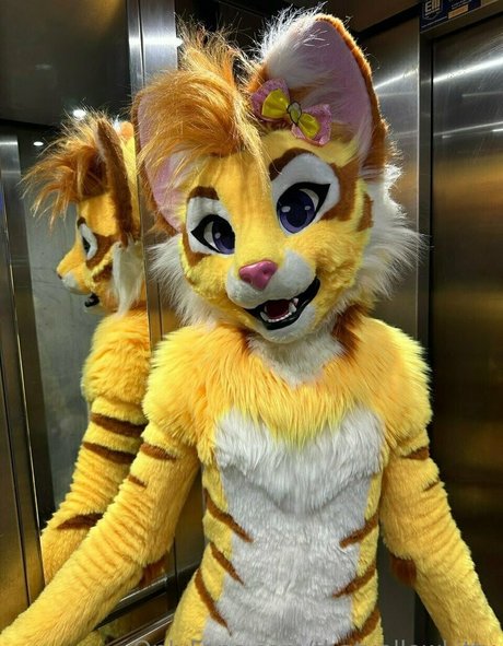 thatyellowkitty 無料のポルノスター ギャラリー