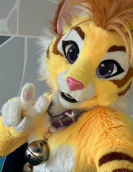 thatyellowkitty 最高のスター 画像
