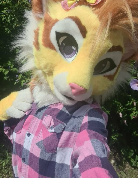 thatyellowkitty 限定モデル 写真