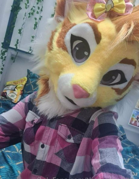 thatyellowkitty HD女優 画像