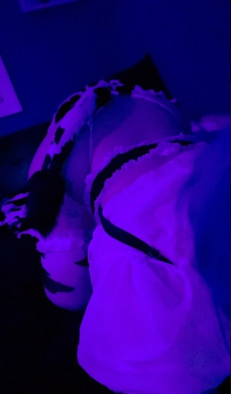 Will o wisps 最高の女優 写真