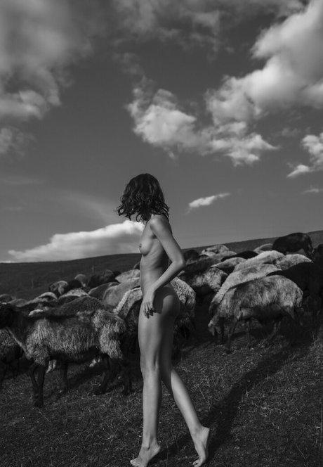 Julia Slip ポルノスター アダルト 画像