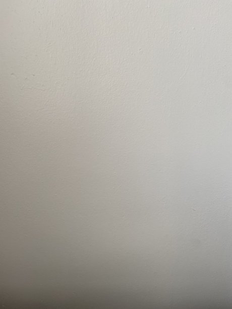 qwertyx2020 アートスター 写真