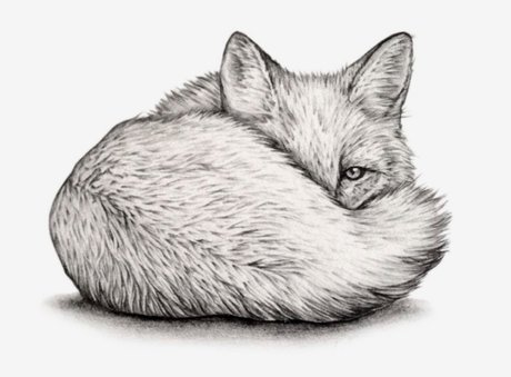 Quinn Fox アダルトモデル 写真