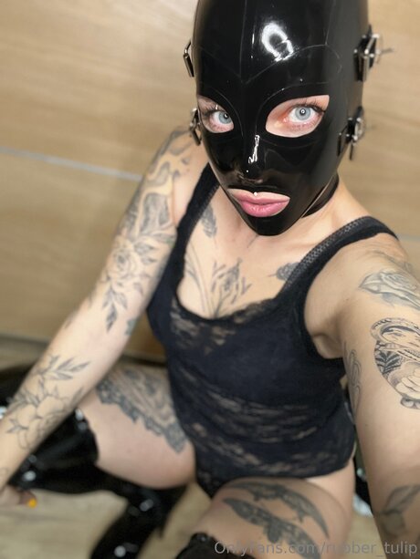 rubber tulip 美しいスター 写真