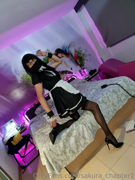 Waifu Karen Sakura 完璧なスター アーカイブ