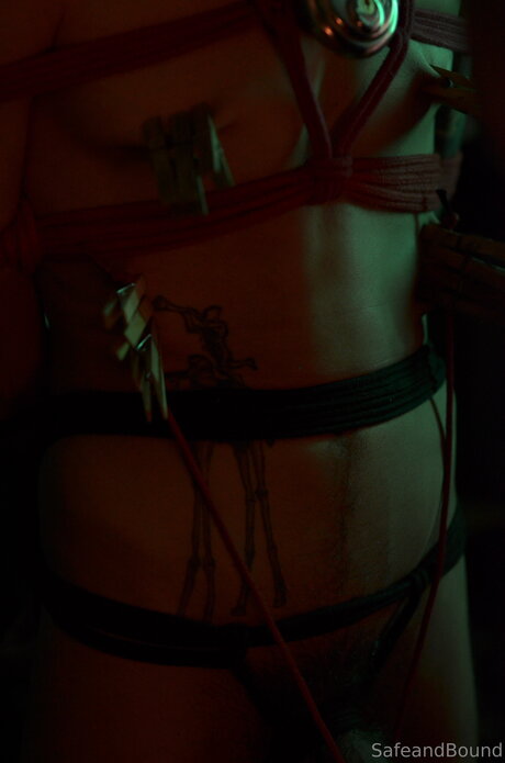 Safe and Bound 完璧なモデル 写真