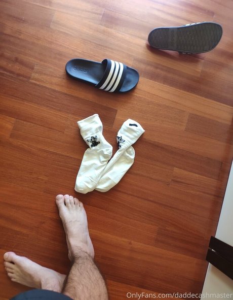 daddemaster トップスター 写真