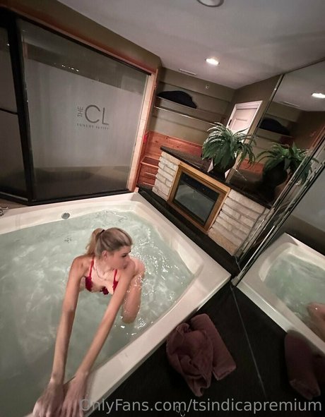 tsindicapremium セックスポルノスター 画像