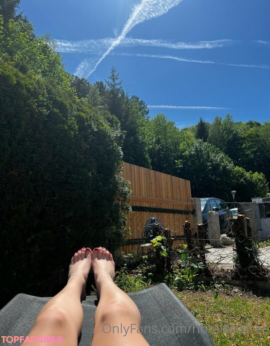 hotnanifree 限定モデル 写真