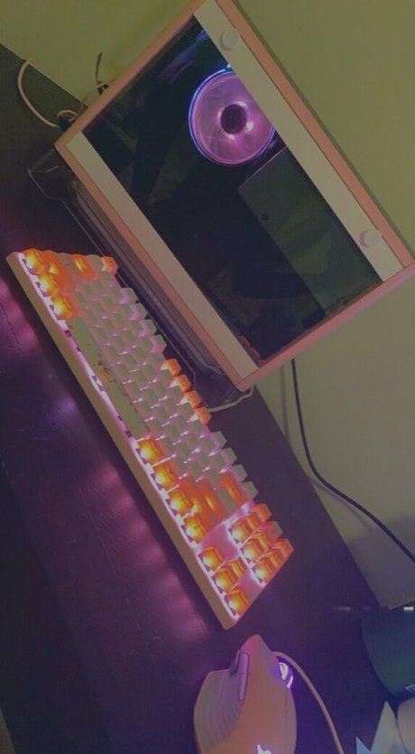 Wasianbabygirl 素敵なモデル アーカイブ