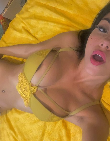 palomasrrr 最高のスター 写真