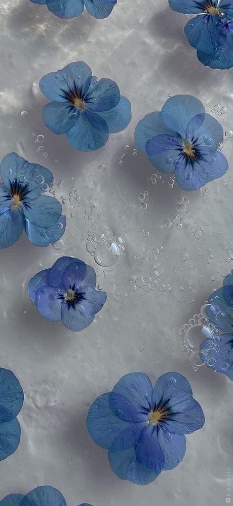 SassySapphire 独占スター 写真
