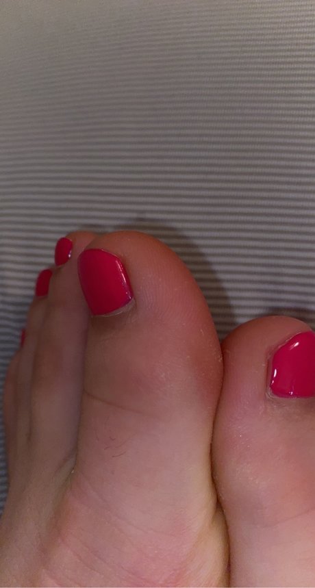Piggies on the market HDモデル 画像