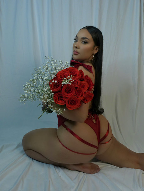 Sofy s VIP 独占モデル 写真