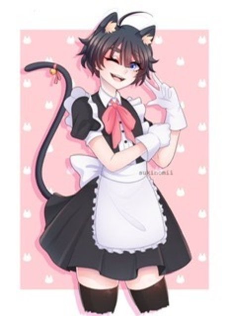Felixxx かわいいスター 画像