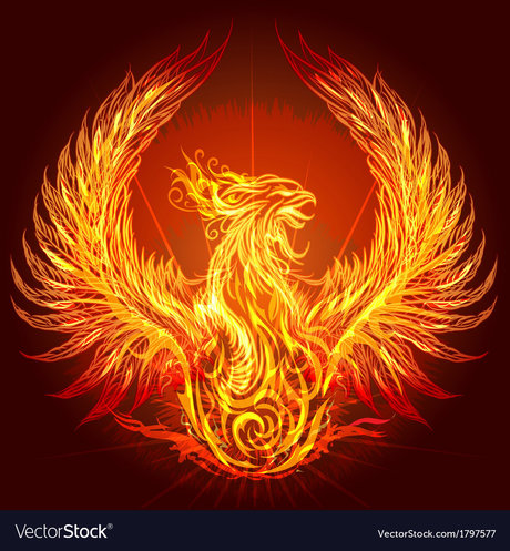 The Dark Bird of Light モデル 写真