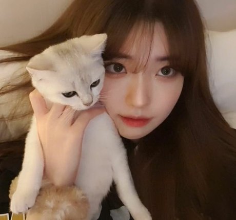 Se Yeon トップポルノスター 写真