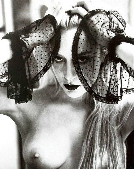 Chloe Sevigny 裸のモデル 画像