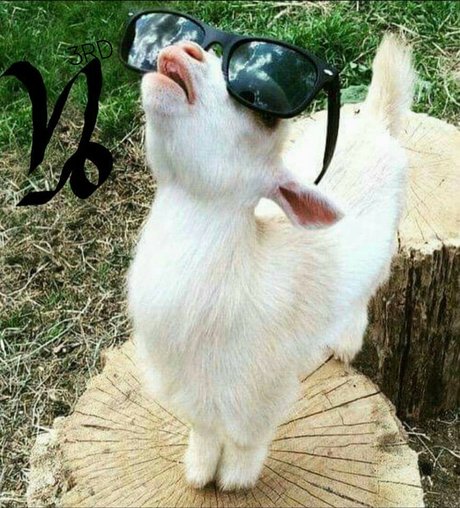 Itwontcookitsself ポルノモデル 写真