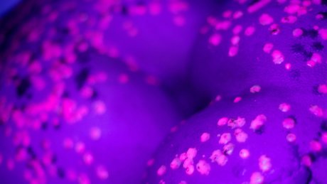 ihavapiness セックスモデル 写真