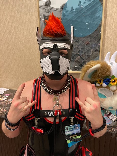 Pup Dax 無料女優 画像