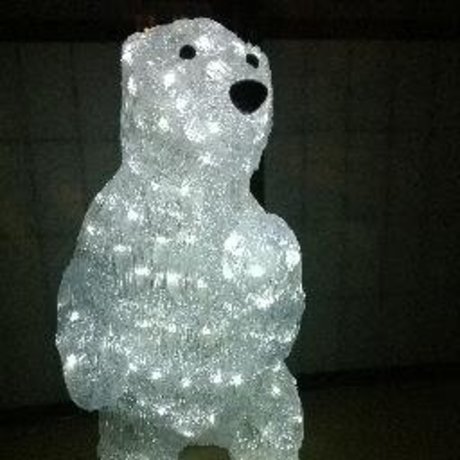 Scared Man かわいいスター 写真