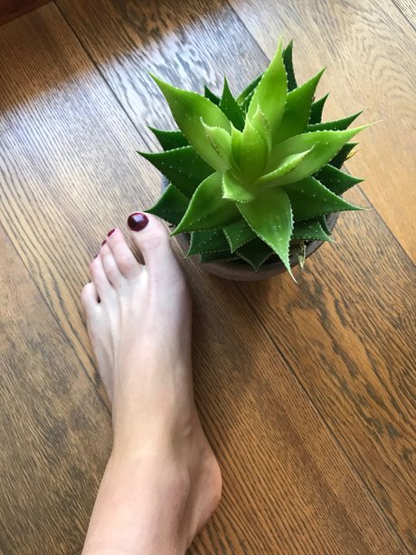 Howtosqu rt ポルノスター セクシー 画像