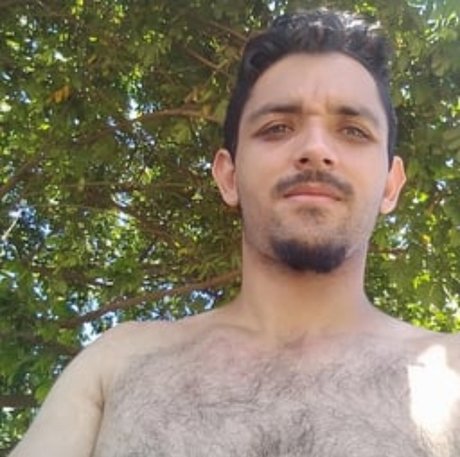 HAIRYBIGDICK 18 セクシーなスター 画像