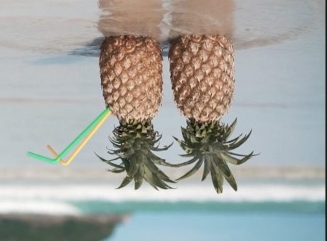 Swingternational 美しいモデル 画像