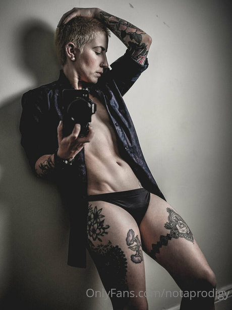 Notaprodigy 完璧なスター 写真